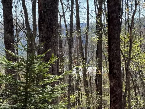 lot22 Bright Mtn, Cullowhee, NC 28723 photo 5