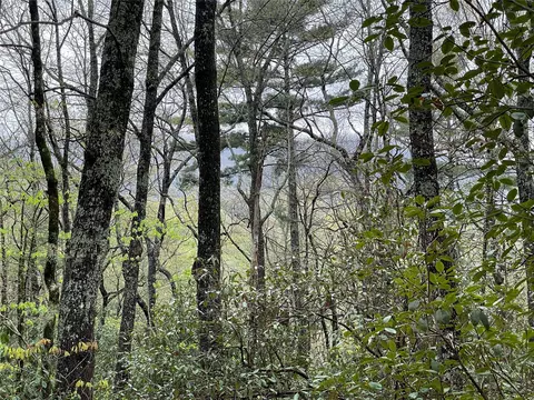 lot11 Cherokee Trce, Lake Toxaway, NC 28747