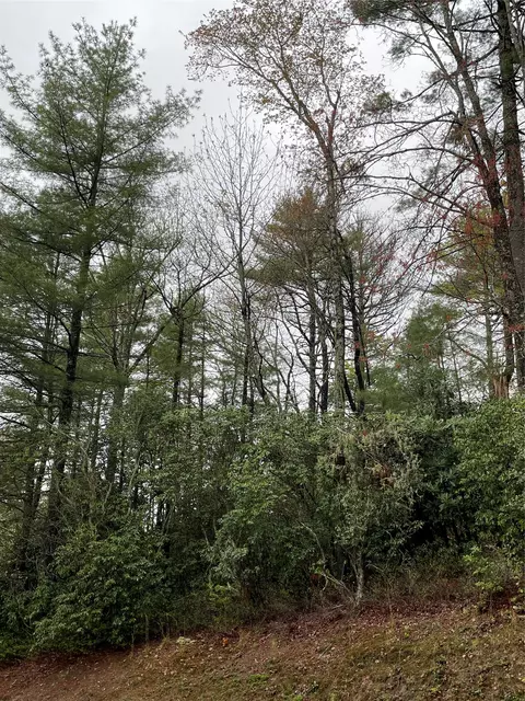 lot G- Bailey Ln, Sapphire, NC 28774 photo 3