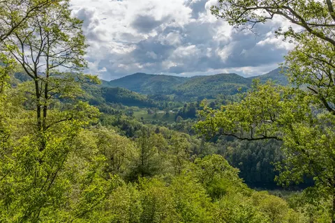 723 Shepherds Gap Rd, Cullowhee, NC 28723 photo 10