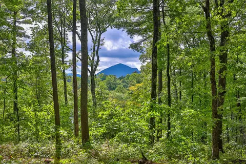 108 Uplands Rd, Cashiers, NC 28717
