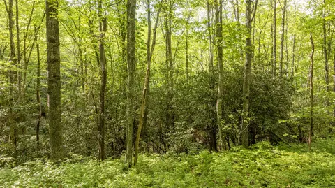 5 Power Line Rd, Glenville, NC 28736 photo 5