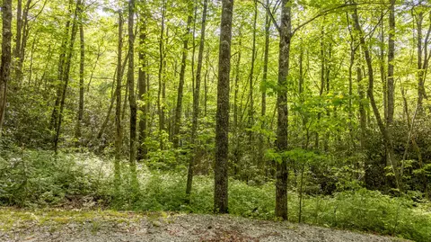 5 Power Line Rd, Glenville, NC 28736 photo 4