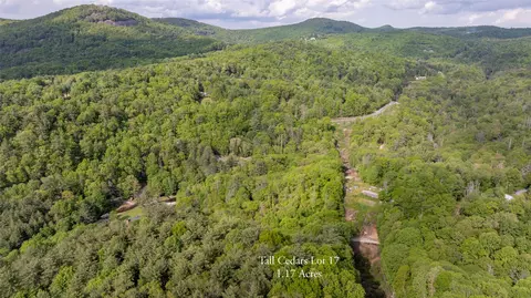 17 Power Line Rd, Glenville, NC 28736 photo 4