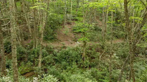 17 Power Line Rd, Glenville, NC 28736 photo 10