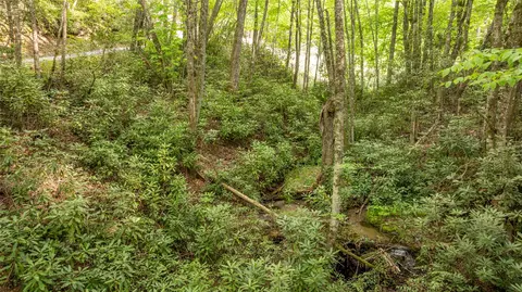 17 Power Line Rd, Glenville, NC 28736 photo 7