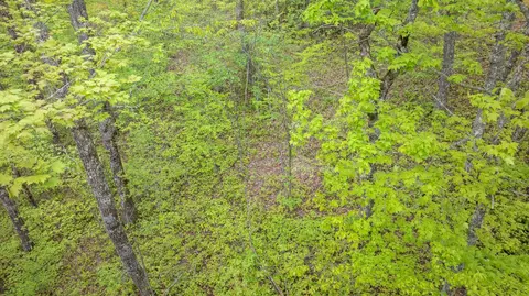lot10 Highlands Pt, Highlands, NC 28741 photo 21