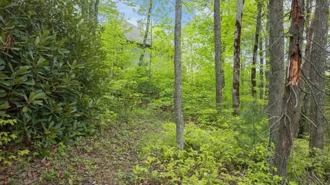 lot10 Highlands Pt, Highlands, NC 28741 photo 23