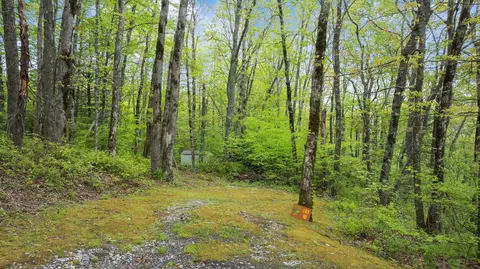 lot10 Highlands Pt, Highlands, NC 28741 photo 22