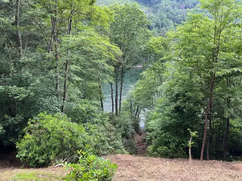 27 58 Wayside Ln, Cullowhee, NC 28723 photo 8