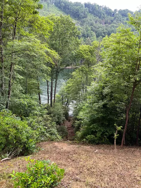 27 58 Wayside Ln, Cullowhee, NC 28723 photo 13