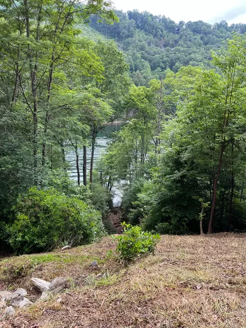 27 58 Wayside Ln, Cullowhee, NC 28723 photo 11
