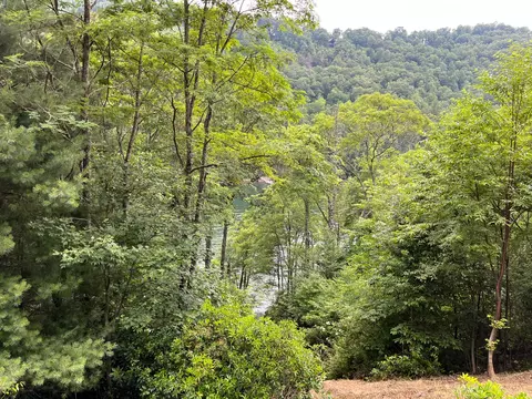 27 58 Wayside Ln, Cullowhee, NC 28723 photo 10