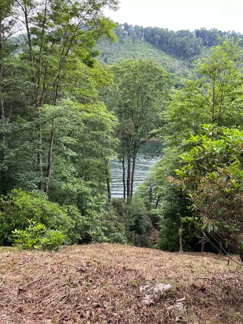 27 58 Wayside Ln, Cullowhee, NC 28723 photo 12