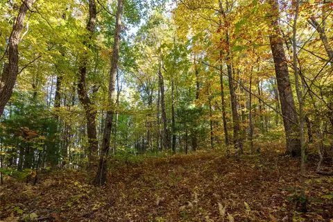 lot15 Whitewater Ridge Rd, Sapphire, NC 28774 photo 9