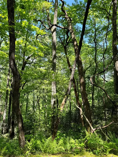 lot2 Glenshore Dr, Cullowhee, NC 28723 photo 10