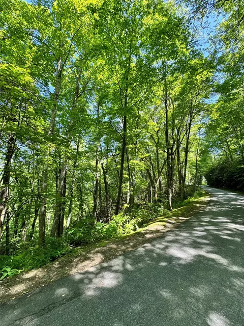 lot2 Glenshore Dr, Cullowhee, NC 28723 photo 8