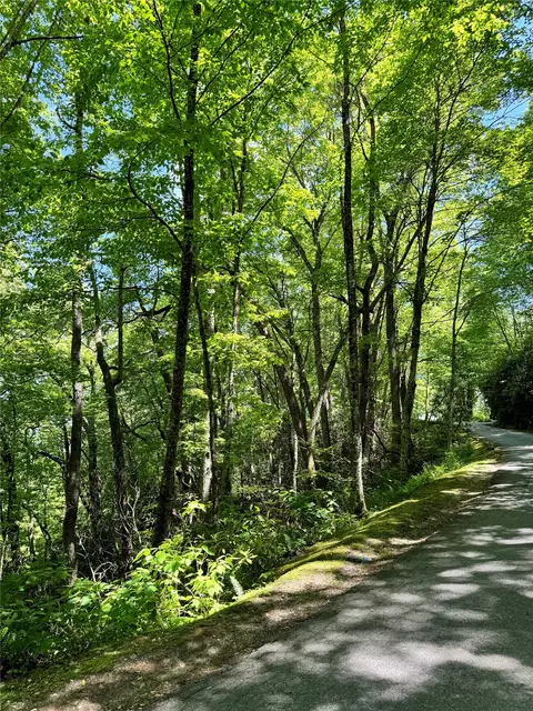 lot2 Glenshore Dr, Cullowhee, NC 28723 photo 7