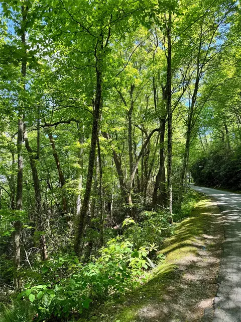 lot2 Glenshore Dr, Cullowhee, NC 28723 photo 9