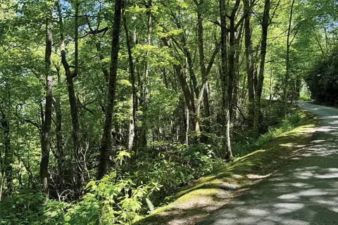 lot2 Glenshore Dr, Cullowhee, NC 28723 photo 2