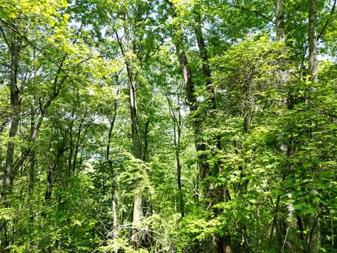 lot2 Glenshore Dr, Cullowhee, NC 28723 photo 11