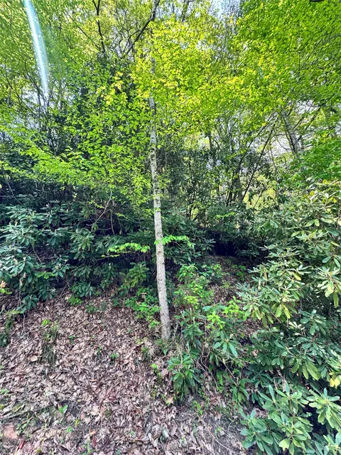lot2 Glenshore Dr, Cullowhee, NC 28723 photo 5