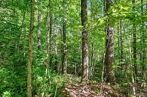 Other - 75 Gunpoint Rd, Cullowhee, NC 28723 photo 4 of 5