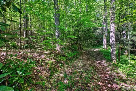 Exterior - 75 Gunpoint Rd, Cullowhee, NC 28723 photo 4 of 6
