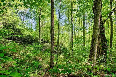 Other - 75 Gunpoint Rd, Cullowhee, NC 28723 photo 3 of 5