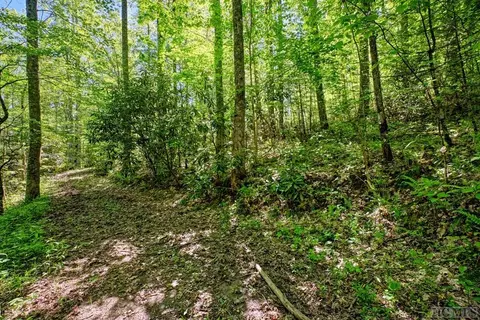 Exterior - 75 Gunpoint Rd, Cullowhee, NC 28723 photo 5 of 6