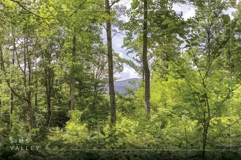 21 Pilot Knob Rd # R, Glenville, NC 28736