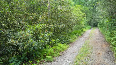 tbd Sequoyah Dr, Highlands, NC 28741 photo 4