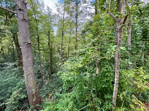 332 Shelby Dr, Highlands, NC 28741 photo 19