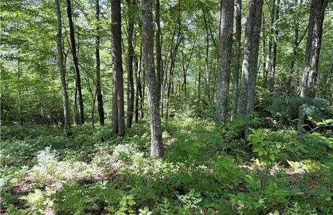 239 Cross Vine Dr, Tuckasegee, NC 28783