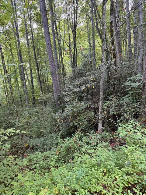 lot15 Mountain Air Rd, Franklin, NC 28734 photo 8