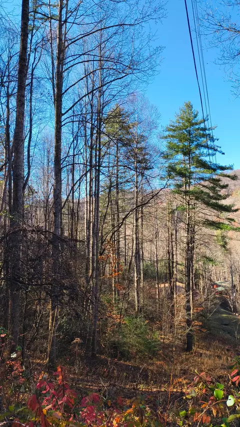 lot15 Mountain Air Rd, Franklin, NC 28734 photo 2