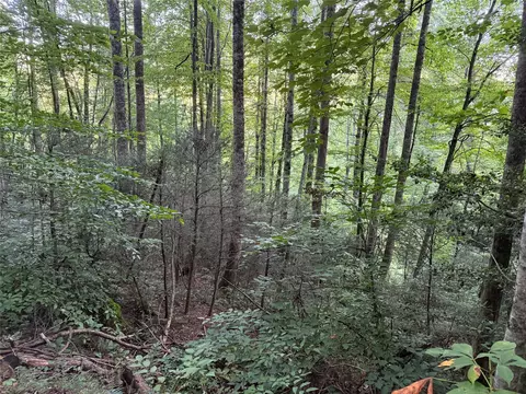 lot15 Mountain Air Rd, Franklin, NC 28734 photo 7