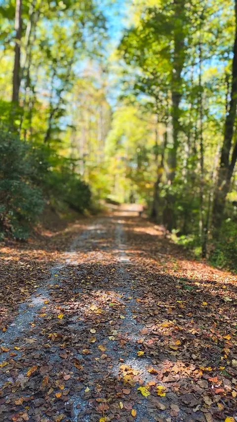 lot15 Mountain Air Rd, Franklin, NC 28734 photo 11