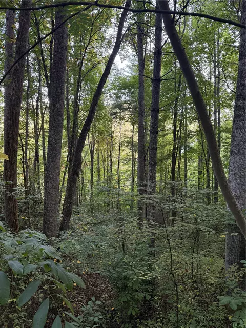 lot15 Mountain Air Rd, Franklin, NC 28734 photo 10