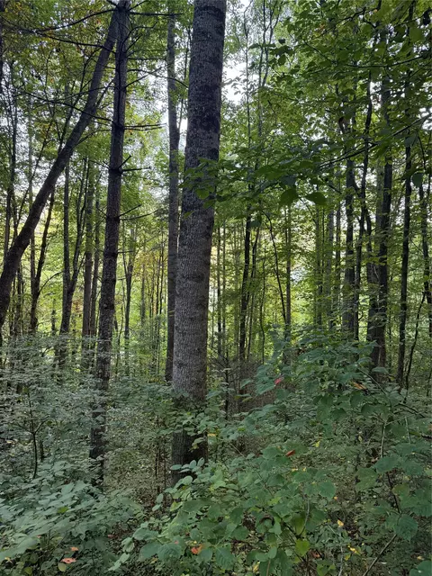 lot15 Mountain Air Rd, Franklin, NC 28734 photo 9