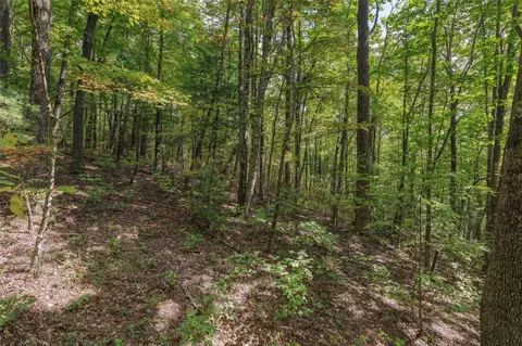 lot9 R Whitewater Ridge Rd, Sapphire, NC 28774 photo 19