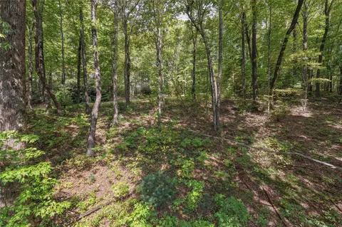 lot9 R Whitewater Ridge Rd, Sapphire, NC 28774 photo 20