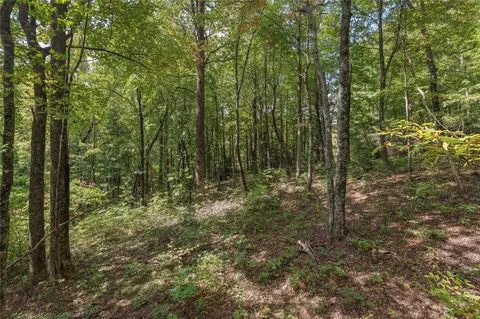 lot9 R Whitewater Ridge Rd, Sapphire, NC 28774 photo 18