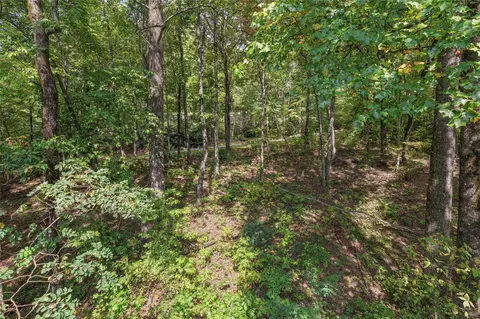 lot9 R Whitewater Ridge Rd, Sapphire, NC 28774 photo 21