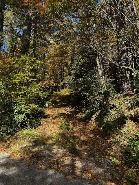 tbd Foreman Rd, Highlands, NC 28741