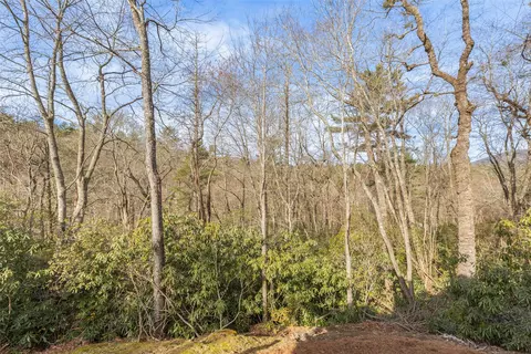 14 Pine Forest Ct, Sapphire, NC 28774 photo 23