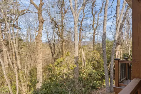 14 Pine Forest Ct, Sapphire, NC 28774 photo 24