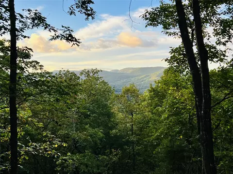 Other - 401 Windy Gap Ln, Sapphire, NC 28774 photo 11 of 30