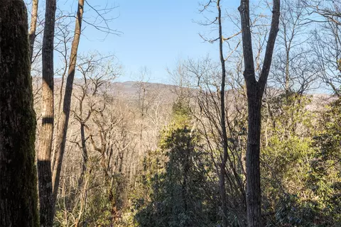 Exterior - 401 Windy Gap Ln, Sapphire, NC 28774 photo 7 of 20