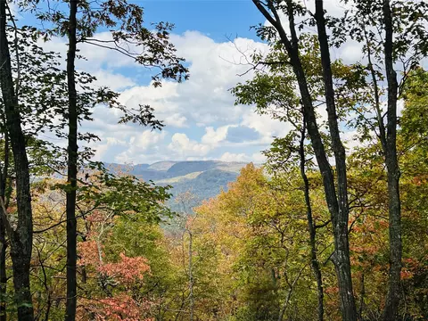 Other - 401 Windy Gap Ln, Sapphire, NC 28774 photo 2 of 30